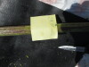 Thumbnail IMG_0510.JPG 