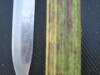 Thumbnail IMG_0512.JPG 