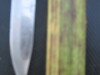 Thumbnail IMG_0513.JPG 