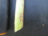 Thumbnail IMG_0524.JPG 