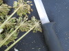 Thumbnail IMG_0547.JPG 