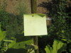 Thumbnail IMG_0172.JPG 