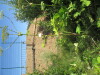 Thumbnail IMG_0173.JPG 