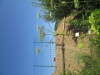 Thumbnail IMG_0175.JPG 