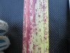 Thumbnail IMG_0441.JPG 
