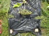 Thumbnail IMG_0459.JPG 