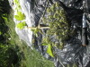 Thumbnail IMG_0461.JPG 