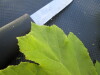 Thumbnail IMG_0470.JPG 