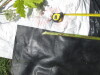 Thumbnail IMG_0381.JPG 
