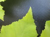 Thumbnail IMG_0401.JPG 