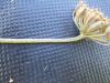 Thumbnail IMG_0415.JPG 
