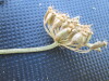 Thumbnail IMG_0416.JPG 