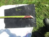 Thumbnail IMG_0314.JPG 