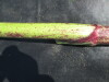 Thumbnail IMG_0316.JPG 