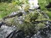 Thumbnail IMG_0320.JPG 
