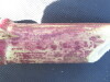Thumbnail IMG_0325.JPG 