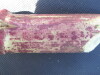 Thumbnail IMG_0326.JPG 
