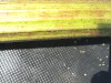Thumbnail IMG_0332.JPG 