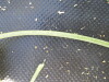 Thumbnail IMG_0352.JPG 