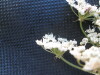 Thumbnail IMG_0364.JPG 