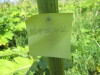 Thumbnail IMG_0209.JPG 