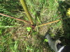 Thumbnail IMG_0219.JPG 