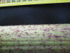 Thumbnail IMG_0239.JPG 