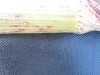 Thumbnail IMG_0245.JPG 