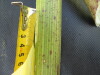 Thumbnail IMG_0251.JPG 