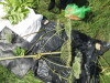 Thumbnail IMG_0271.JPG 