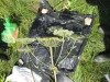 Thumbnail IMG_0272.JPG 