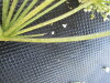 Thumbnail IMG_0296.JPG 