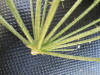 Thumbnail IMG_0297.JPG 