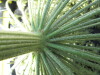 Thumbnail IMG_0304.JPG 