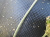 Thumbnail IMG_0311.JPG 