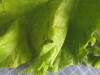 Thumbnail 2021-07-24_13.31.27.JPG 