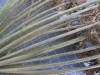 Thumbnail 2021-07-24_13.40.42.JPG 
