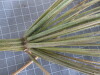 Thumbnail 2021-07-24_13.40.45.JPG 