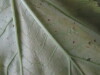 Thumbnail 2021-07-24_13.54.19.JPG 