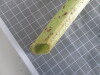 Thumbnail 2021-07-24_14.00.49.JPG 