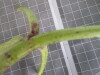 Thumbnail 2021-07-24_14.02.15.JPG 