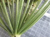 Thumbnail 2021-07-24_14.06.36.JPG 