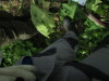 Thumbnail IMG_0905.JPG 