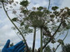 Thumbnail IMG_0911.JPG 