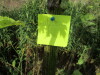Thumbnail IMG_0914.JPG 