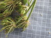 Thumbnail 2021-07-24_14.17.56.JPG 