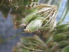 Thumbnail 2021-07-24_14.18.18.JPG 