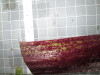 Thumbnail 2021-07-24_14.18.48.JPG 