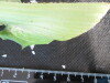 Thumbnail IMG_2081.JPG 