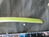 Thumbnail IMG_2094.JPG 